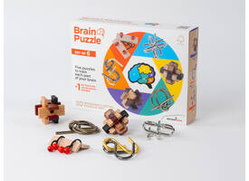 Brain Puzzles - set of 6