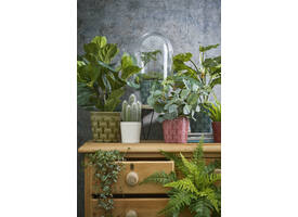 Kunstplant Mica Pilea in pot Ø11,5cm 35x25cm