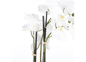 Kunstplant Mica Phalaenopsis orchideeën wit in plastic pot 79x51cm