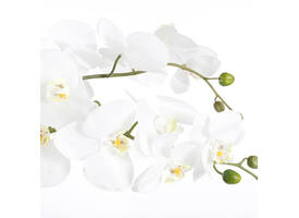 Kunstplant Mica Phalaenopsis orchideeën wit in plastic pot 79x51cm