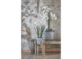 Kunstplant Mica Phalaenopsis orchideeën wit in plastic pot 79x51cm