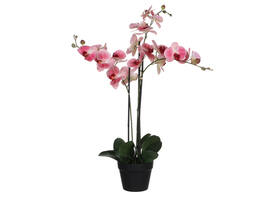 Kunstplant Mica Phalaenopsis orchideeën roze in plastic pot 79x51cm