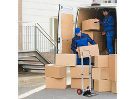 Steekwagen BRASQ stalen plateau 90 kg