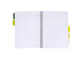 Projectboek Pukka Pad Recycled A4 lijn 5-tabs 4-gaats 200 pagina's 80gr groen