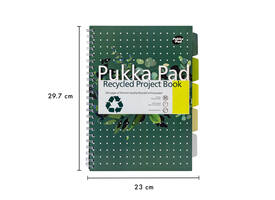Projectboek Pukka Pad Recycled A4 lijn 5-tabs 4-gaats 200 pagina's 80gr groen