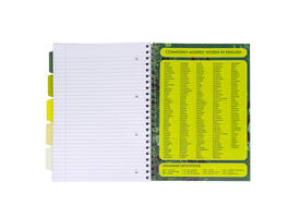 Projectboek Pukka Pad Recycled A4 lijn 5-tabs 4-gaats 200 pagina's 80gr groen