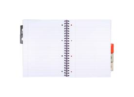 Projectboek Pukka Pad Metallic Executive A4 lijn 5-tabs 4-gaats 200 pagina's 80gr assorti