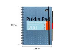 Projectboek Pukka Pad Metallic Executive A4 lijn 5-tabs 4-gaats 200 pagina's 80gr assorti