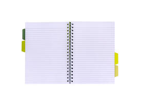 Projectboek Pukka Pad Recycled B5 lijn 4-tabs 200 pagina's 80gr groen