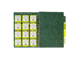 Projectboek Pukka Pad Recycled B5 lijn 4-tabs 200 pagina's 80gr groen