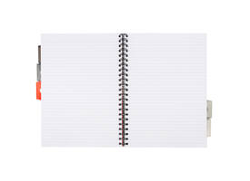 Projectboek Pukka Pad Metallic A4 lijn 5-tabs 200 pagina's 80gr groen