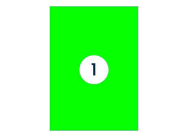 Etiket Rillprint 210x297mm fluorgroen 100 etiketten