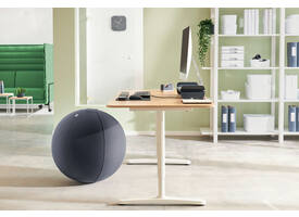 Actieve zitbal Leitz Ergo 75cm anti-rol donkergrijs