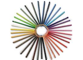 Kleurpotlood Polychromos ism Karin Luttenberg 36st