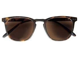 Zonnebril I Need You  +2.50 dpt Playa havanna