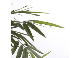 Kunstplant Mica Bamboe in plastic pot 150x75cm
