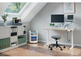 Monitorarm Leitz Ergo ruimtebesparend dubbel grijs