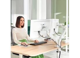 Monitorarm Leitz Ergo ruimtebesparend dubbel grijs