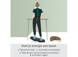 Balansbord Leitz Ergo actief