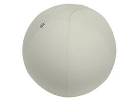 Actieve zitbal Leitz Ergo 75cm anti-rol lichtgrijs