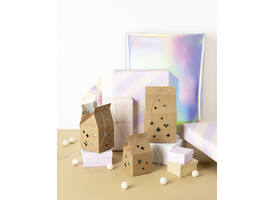 Giftbox Folia Star kraft set à 6 stuks