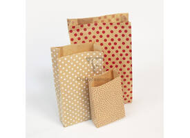 Cadeauzak Clairefontaine16x30x5cm kraft sterren 50 stuks