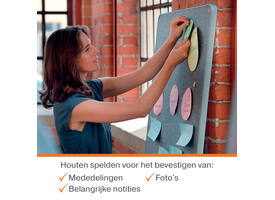 Punaises Nobo hout voor memobord 40 stuks