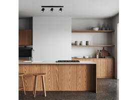 Plafondspot Integral Siena 3 spot IP20 GU10 zwart