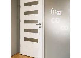 Koolmonoxidemelder Alecto 10 jaar sensor en display COA3910 wit