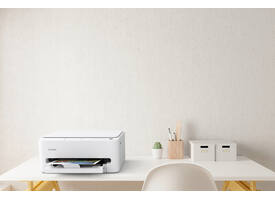 Multifunctional inktjet printer Canon PIXMA TS4150i