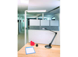 Vloerlamp MAUL Senja LED beweging- daglichtsensor dimbaar wit
