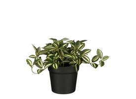 Kunstplant Mica Tradescantia in pot groen 16x16cm