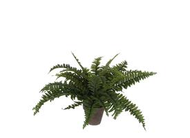 Kunstplant Mica Boston varen groen in pot Ø50cm 42cm