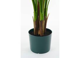 Kunstplant Mica Areca palm in pot groen waterproof