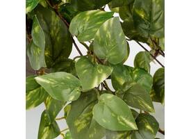 Kunstplant Mica Scindapsus hangend groen Ø25 45cm