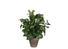 Kunstplant Mica Syngonium groen in pot Ø25 35cm