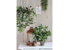 Kunstplant Mica Syngonium groen in pot Ø25 35cm