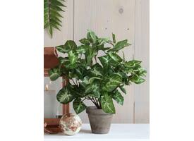Kunstplant Mica Syngonium groen in pot Ø25 35cm