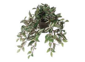 Kunstplant Mica Tradescantia hangend groen Ø25 45cm