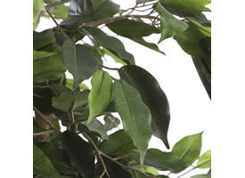 Kunstplant Mica Ficus groen in plastic pot Ø85 150cm
