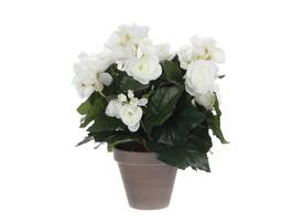 Kunstplant Mica Begonia wit in pot Stan grijs Ø25 30cm