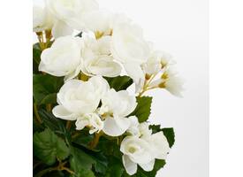 Kunstplant Mica Begonia wit in pot Stan grijs Ø25 30cm