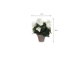 Kunstplant Mica Begonia wit in pot Stan grijs Ø25 30cm