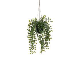 Kunstplant Mica Ficus hangend in pot groen Ø20 46cm