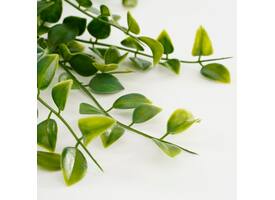 Kunstplant Mica Ficus hangend in pot groen Ø20 46cm