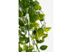 Kunstplant Mica Ficus hangend in pot groen Ø20 46cm