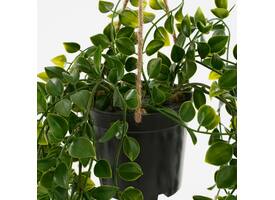Kunstplant Mica Ficus hangend in pot groen Ø20 46cm