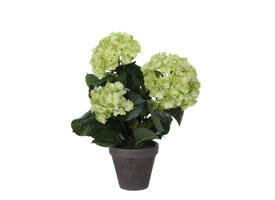 Kunstplant Mica Hortensia in pot groen Ø35 40cm