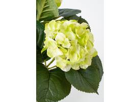 Kunstplant Mica Hortensia in pot groen Ø35 40cm