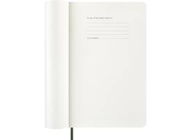 Agenda 2027 Moleskine 12M Planner Weekly 7dagen/1pagina large sc myrtle green